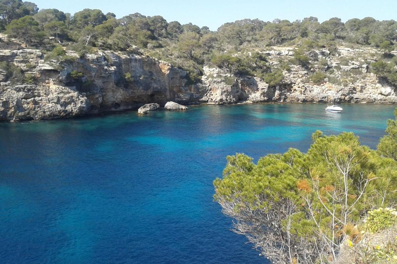 Lejlighed The Torrent's Observer Cala Pi (Mallorca)